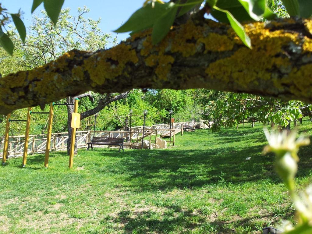 Agriturismo La Ginestra Cercemaggiore Exterior photo